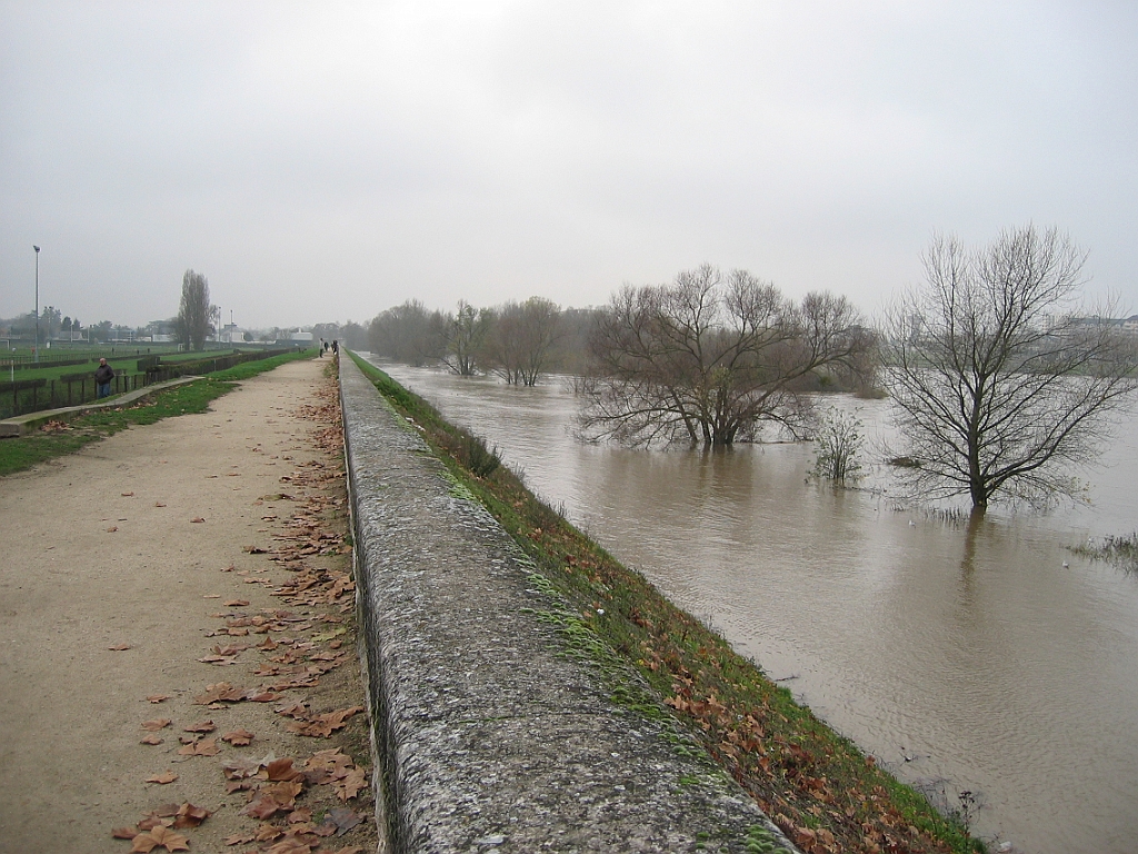 Loire en crue 25.jpg